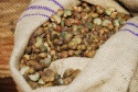thai raw cashew nuts for export - product's photo