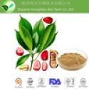 caffeine kola nut extract - product's photo