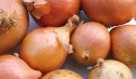 onion of caliber 5+ - product's photo
