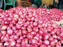 onions for sale  - product's photo