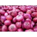 onions for sale  - product's photo