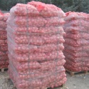 onions for sale  - product's photo