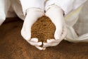buy animal feeds - product's photo