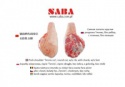 frozen pork shoulder - product's photo