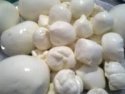 buffalo mozzarella cheese - product's photo